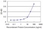 CAP2 Antibody (monoclonal) (M01)